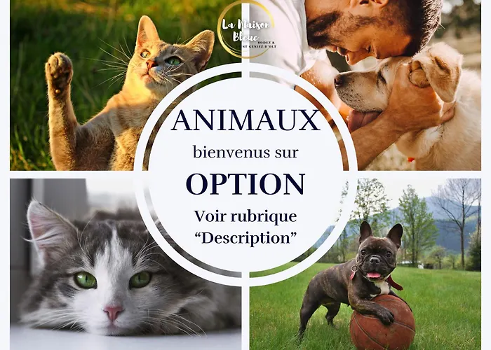 Διαμέρισμα Cocon, Vue Rodez, Terrasse, Box, Musee Soulages *