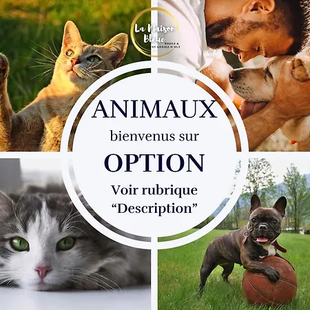 Appartement Cocon, Vue Rodez, Terrasse, Box, Musée Soulages *